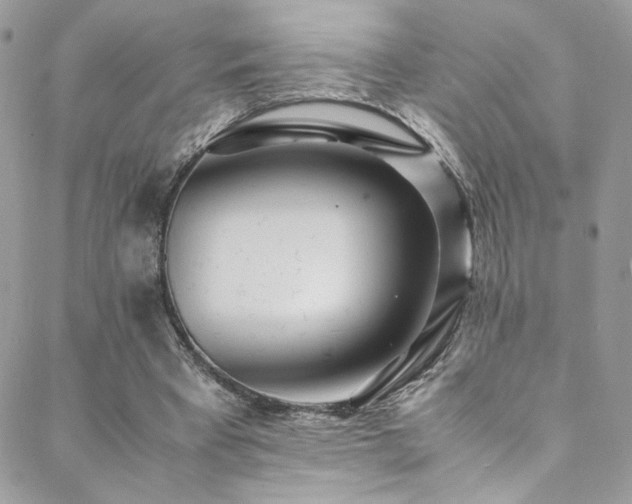 X0000089370393200706151204