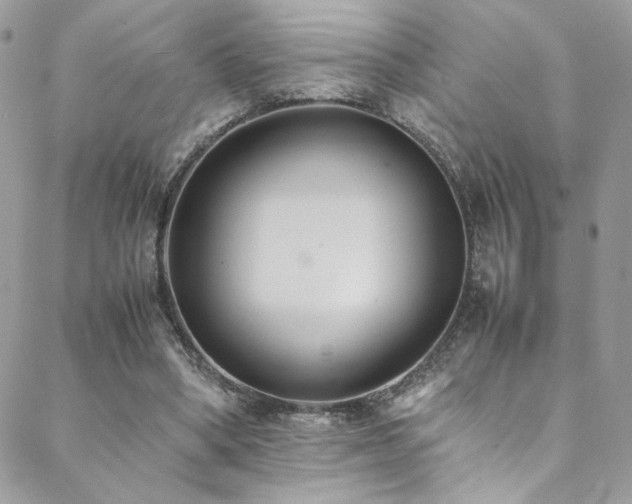 X0000089370394200706151204