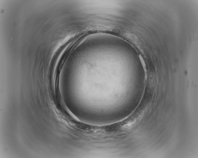 X0000089370395200706151204