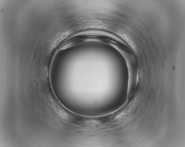 X0000089370397200706151204