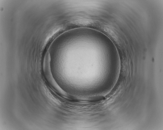 X0000089370399200706151204