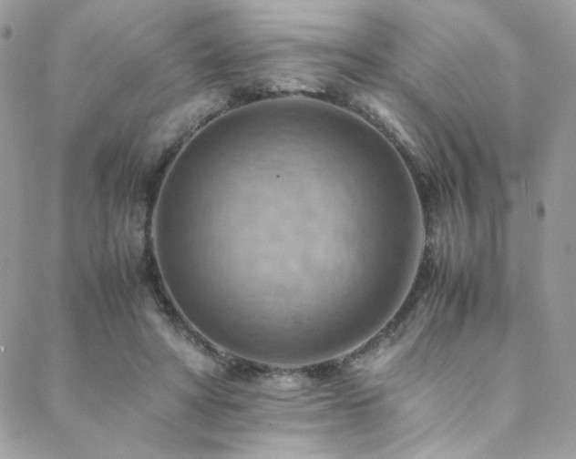 X0000089370402200706151204