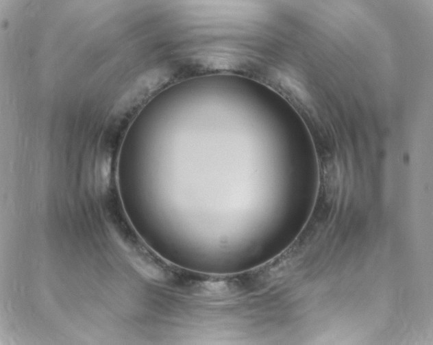 X0000089370406200706151203