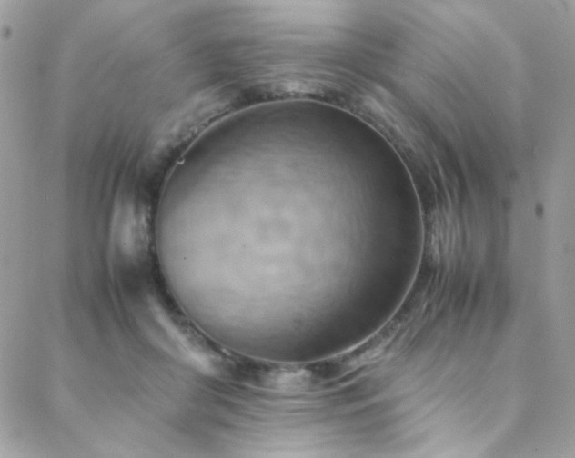 X0000089370410200706151203