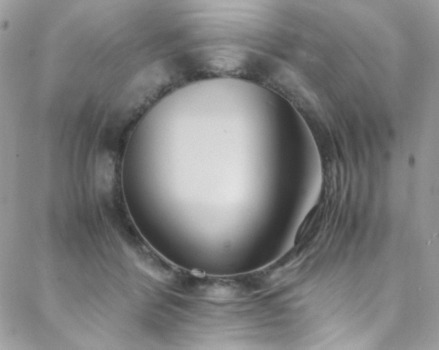 X0000089370412200706151203
