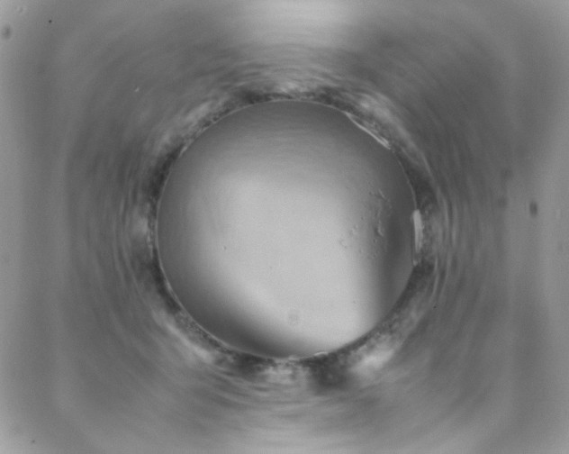 X0000089370415200706151203