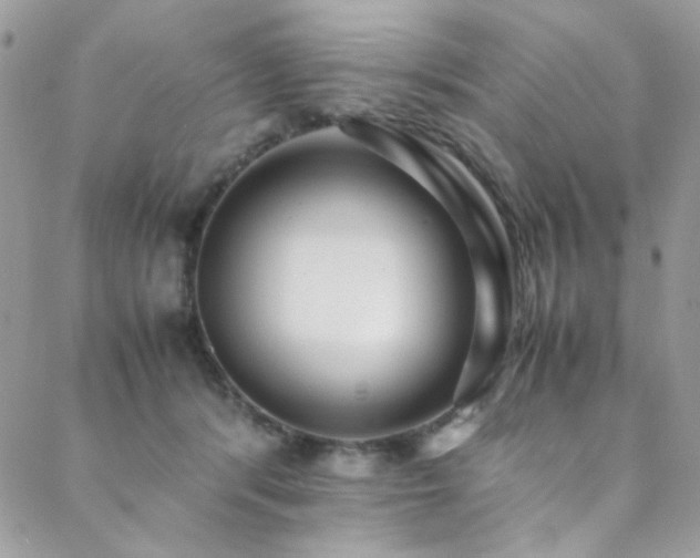 X0000089370416200706151203