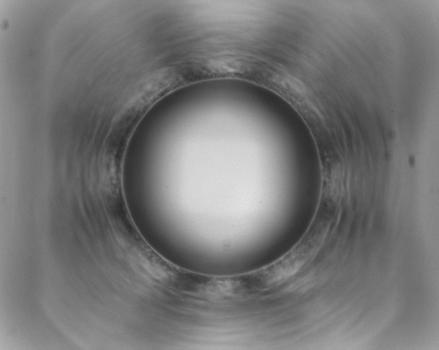X0000089370418200706151203