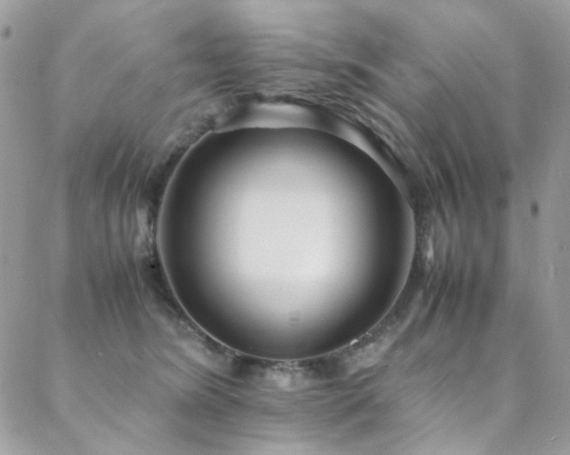 X0000089370420200706151203