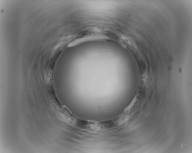 X0000089370423200706151203