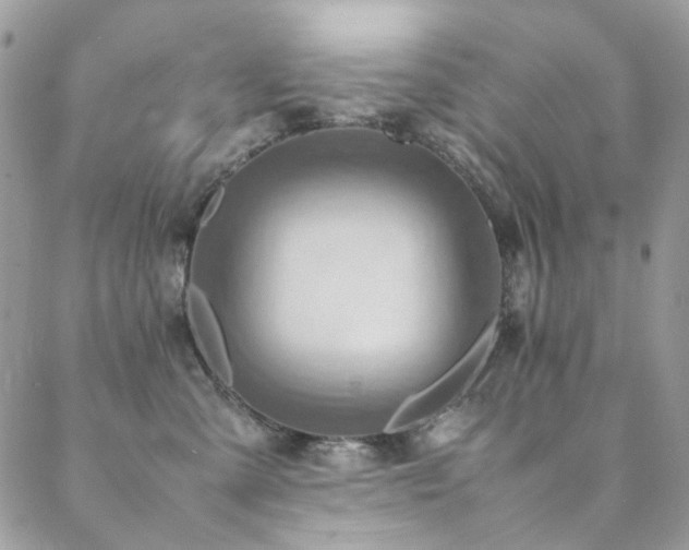 X0000089370427200706151203
