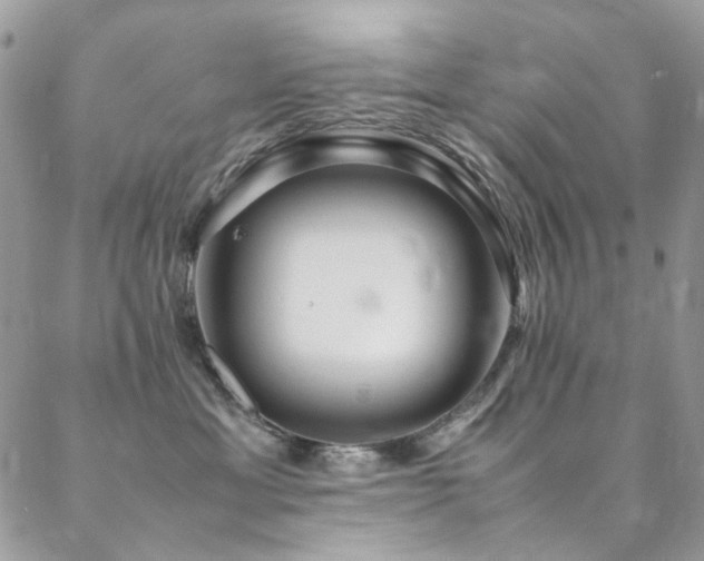 X0000089370429200706151203