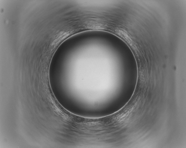 X0000089370433200706151202