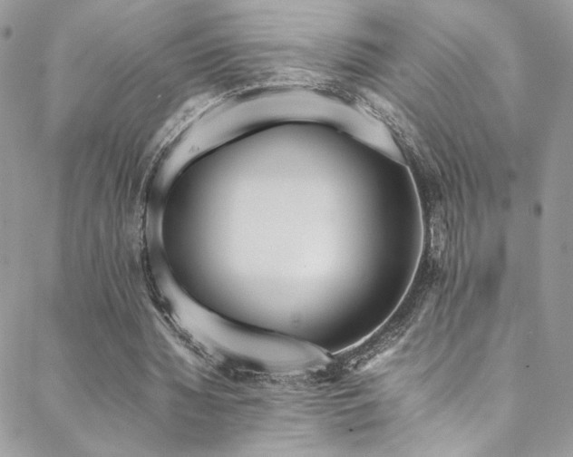 X0000089370436200706151202
