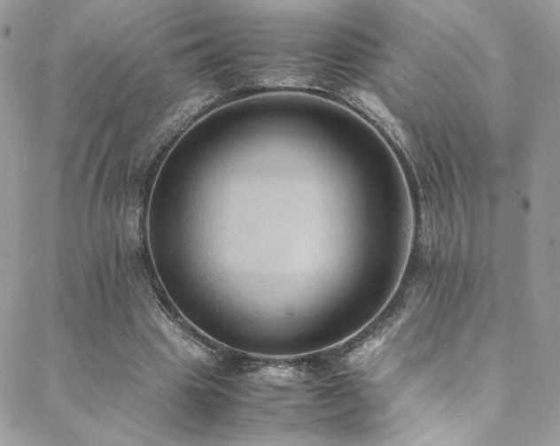 X0000089370441200706151202