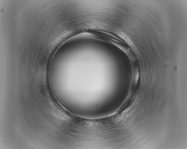 X0000089370442200706151202