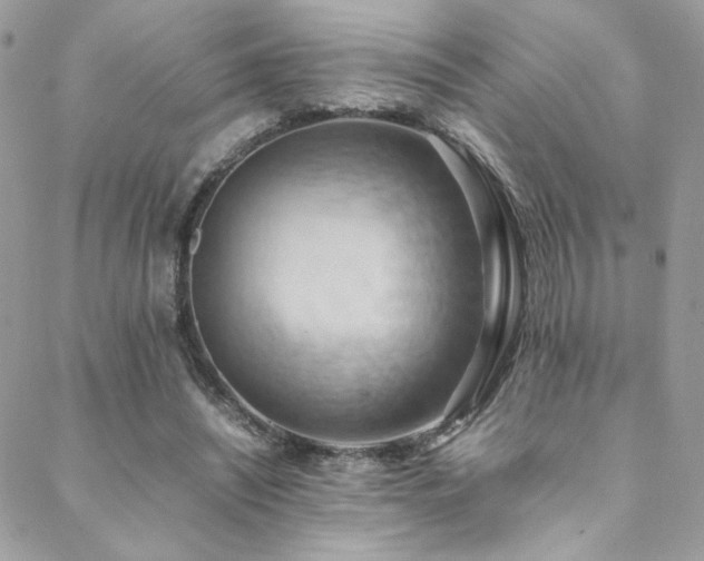 X0000089370444200706151202