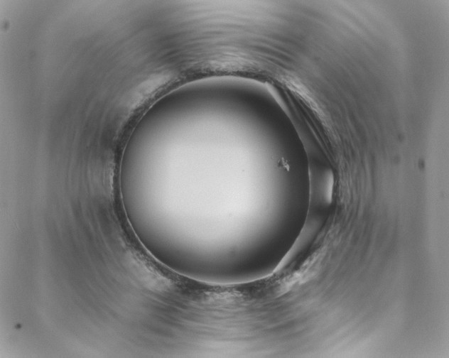 X0000089370446200706151202