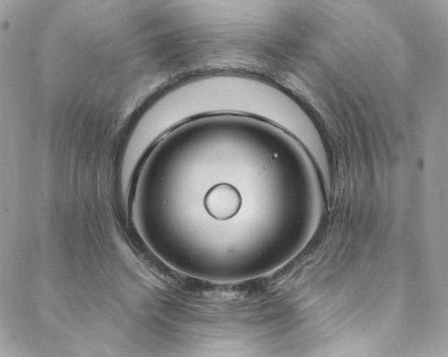 X0000089370448200706151203