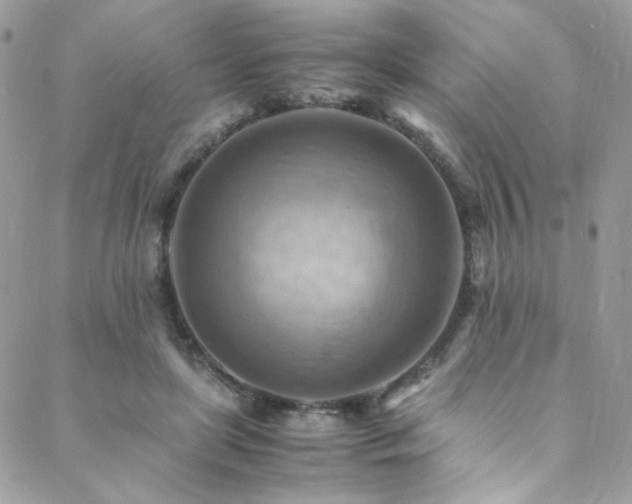 X0000089370451200706151203