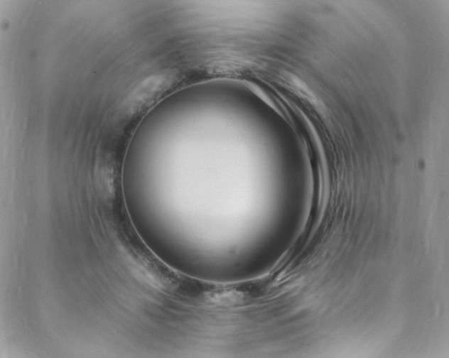 X0000089370452200706151203
