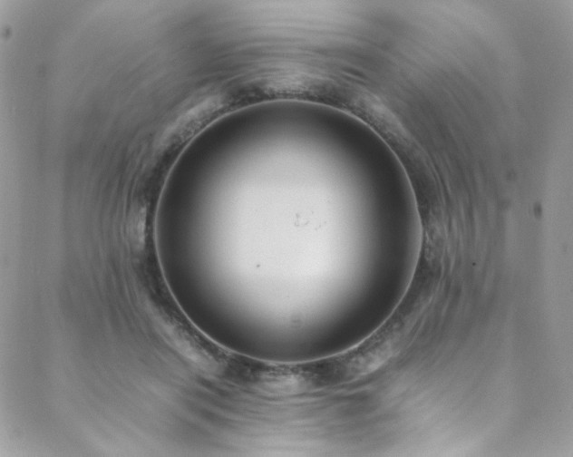 X0000089370454200706151203