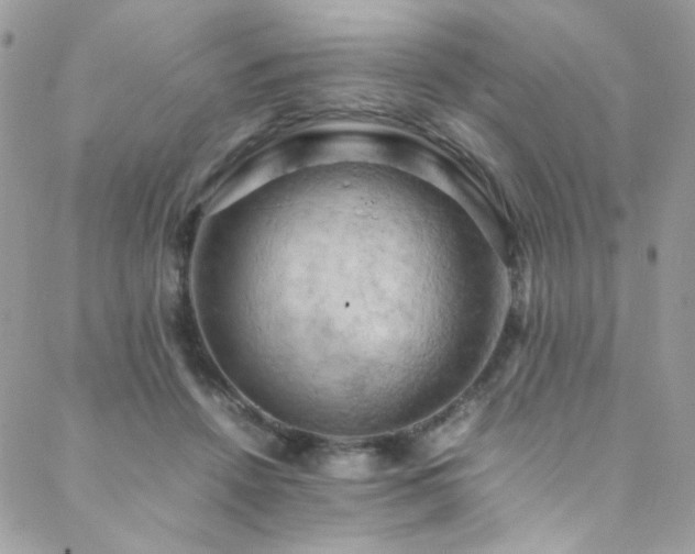 X0000089370456200706151203