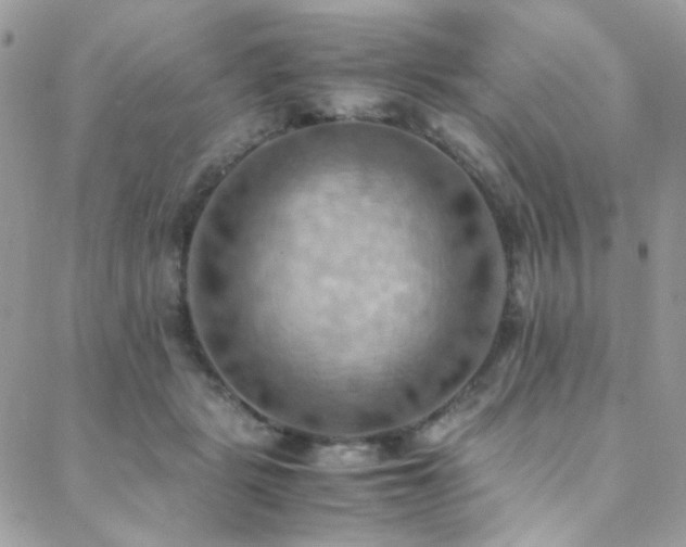 X0000089370461200706151203
