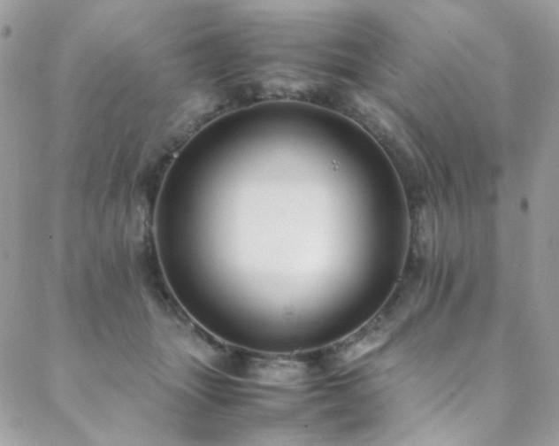 X0000089370463200706151203