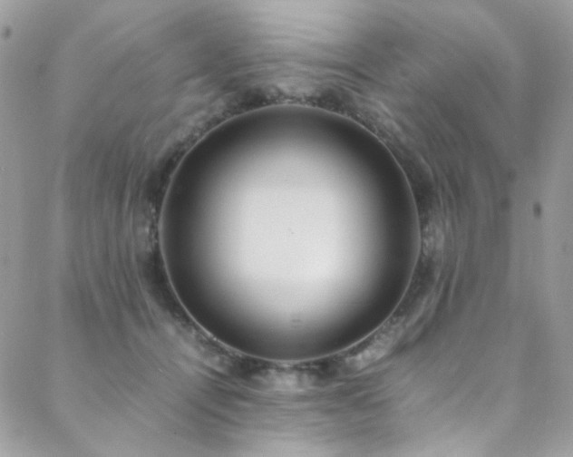 X0000089370464200706151203