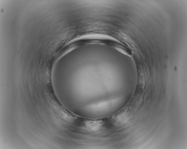 X0000089370465200706151203