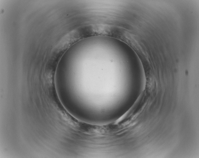 X0000089370466200706151203