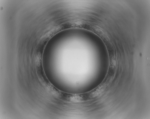X0000089370468200706151203