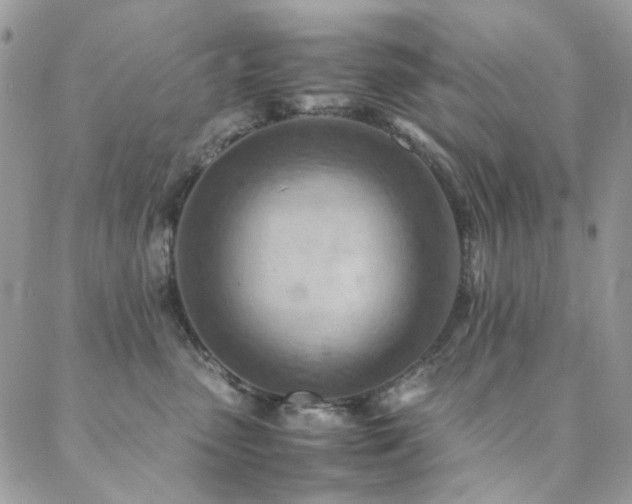 X0000089370475200706151203