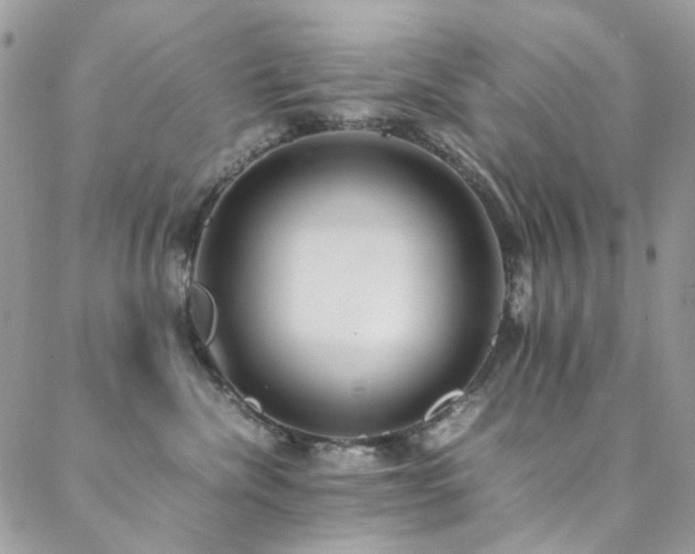 X0000089370476200706151203