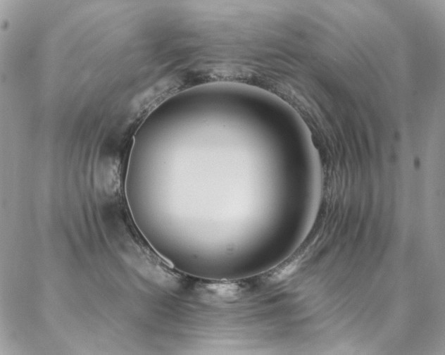 X0000089370478200706151203