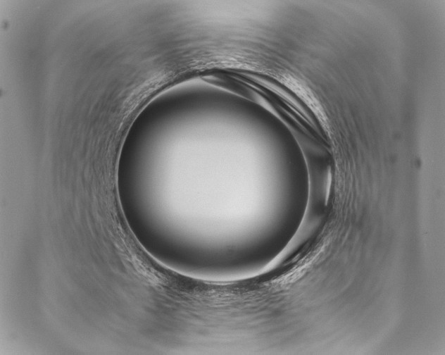 X0000089370481200706151202