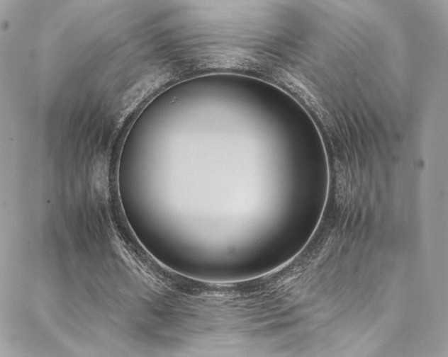 X0000089370482200706151202