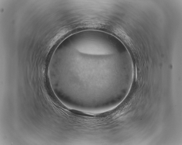 X0000089370483200706151202