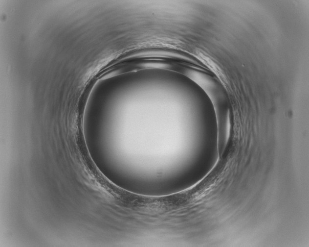 X0000089370485200706151202