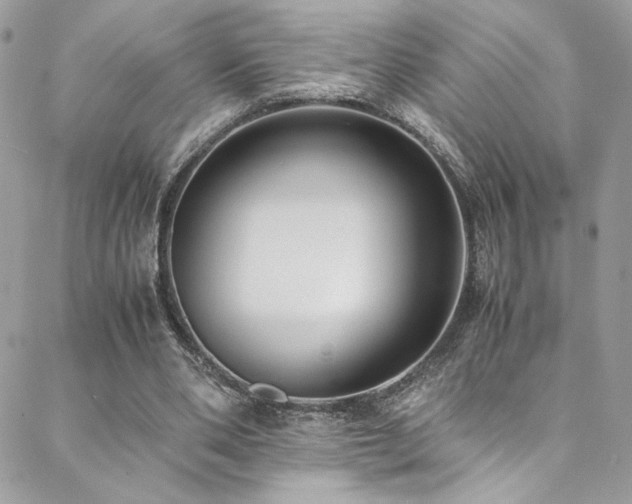 X0000089370486200706151202