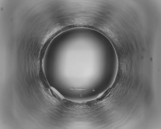 X0000089370488200706151202