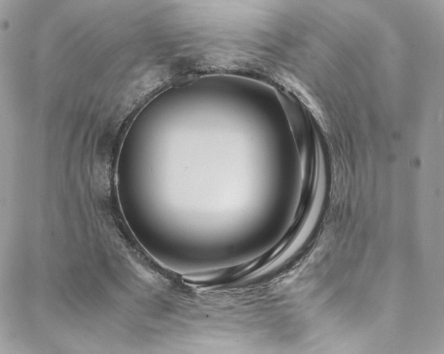 X0000089370489200706151202