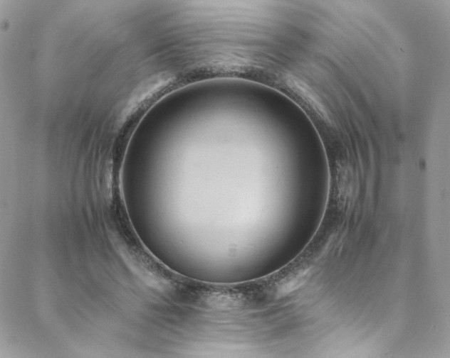 X0000089370494200706151202
