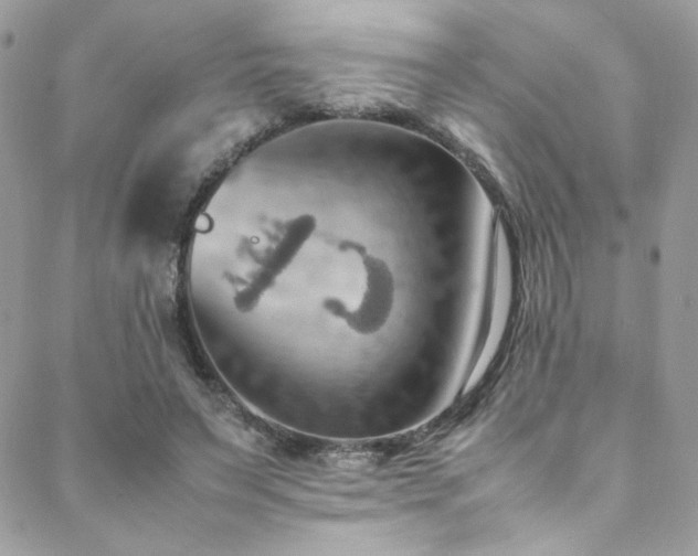 X0000089370495200706151202