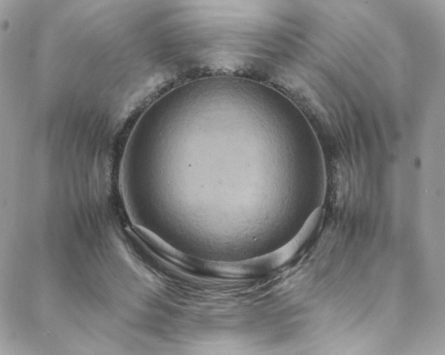 X0000089370496200706151202