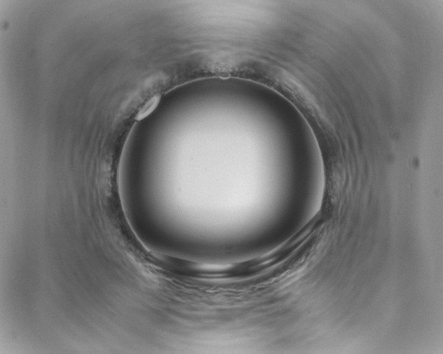 X0000089370497200706151202