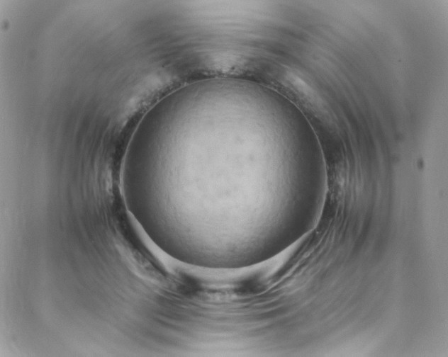 X0000089370500200706151202