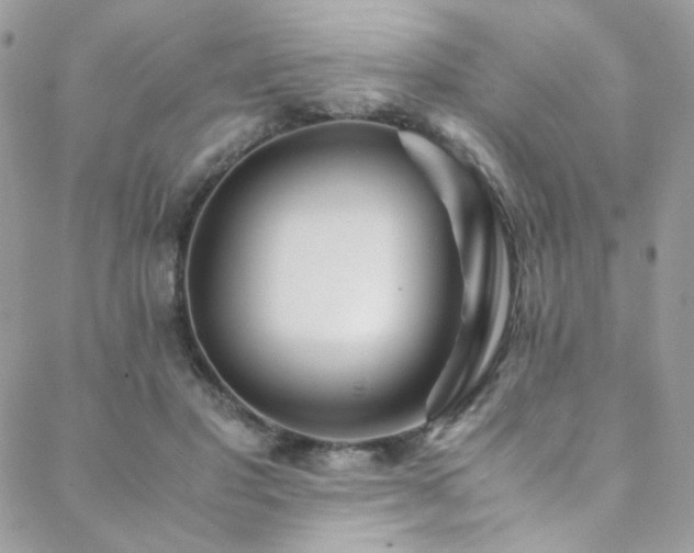 X0000089370501200706151202