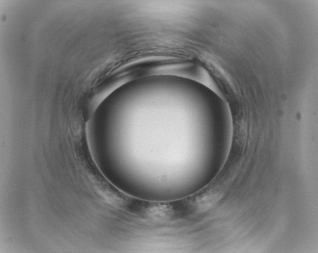 X0000089370505200706151202